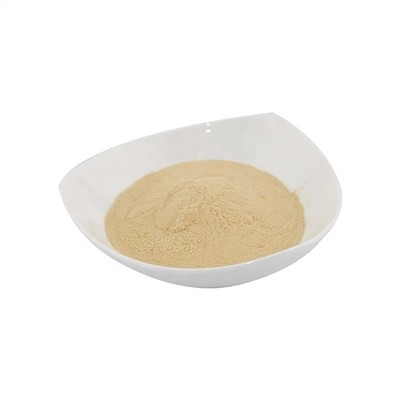 Chitosan matkvalitet